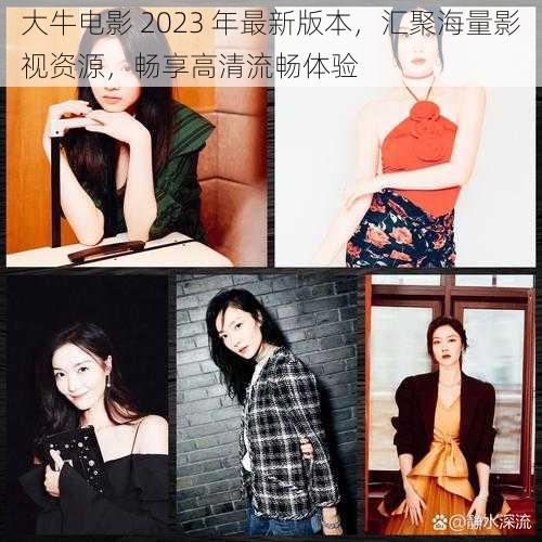 大牛电影 2023 年最新版本,汇聚海量影视资源,畅享高清流畅体验